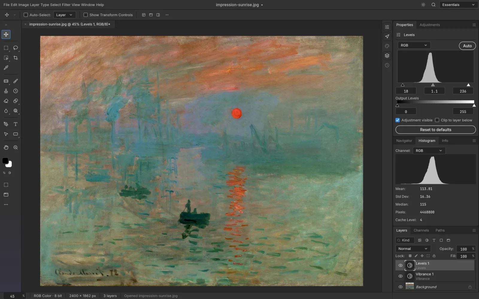 Levels and Vibrance adjustment layers open beside a live histogram in PhotoCraft